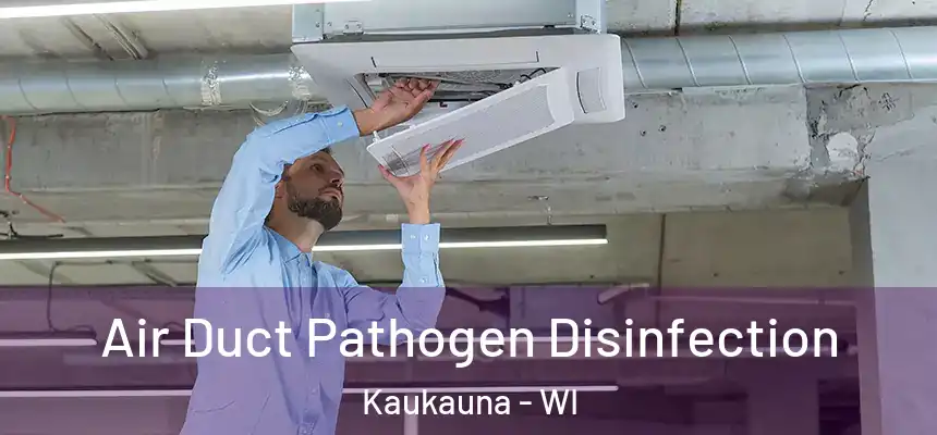 Air Duct Pathogen Disinfection Kaukauna - WI