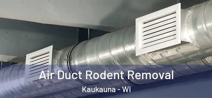  Air Duct Rodent Removal Kaukauna - WI