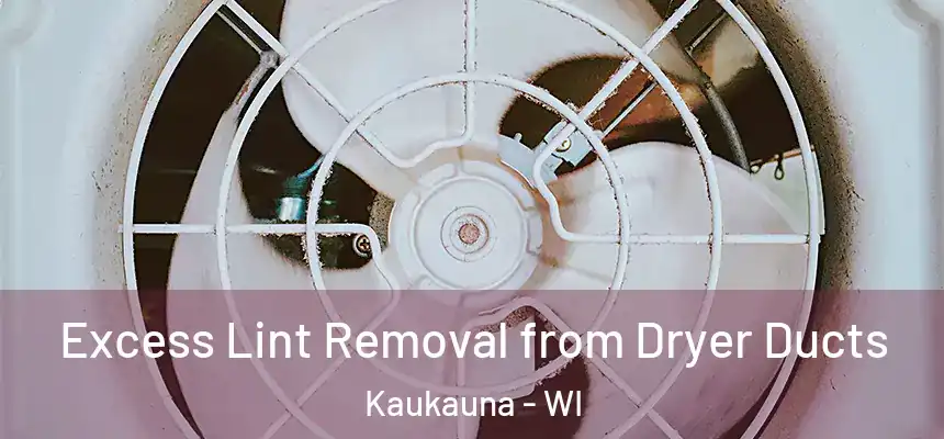  Excess Lint Removal from Dryer Ducts Kaukauna - WI