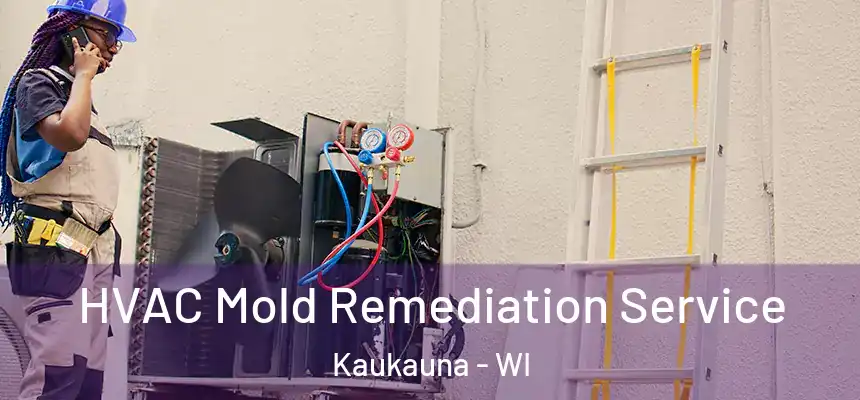  HVAC Mold Remediation Service Kaukauna - WI