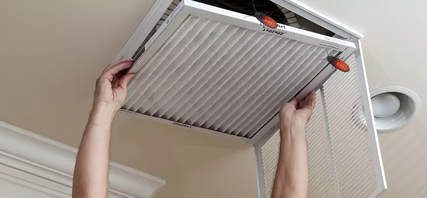 Preventive Cockroach-Proofing for Ducts in Kaukauna