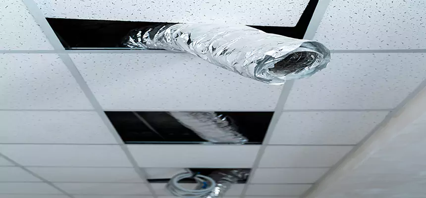 Our Air Duct Pet Hair Removal Services in Kaukauna, WI