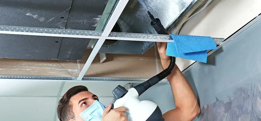 Our Air Duct Rodent Removal Services in Kaukauna, WI
