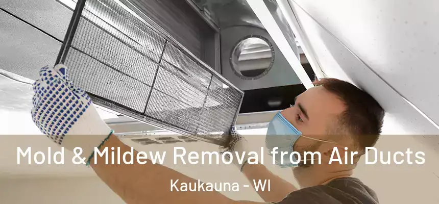  Mold & Mildew Removal from Air Ducts Kaukauna - WI