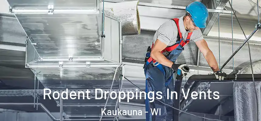  Rodent Droppings In Vents Kaukauna - WI