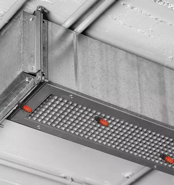 About Air Duct Cockroach Removal in Kaukauna, WI