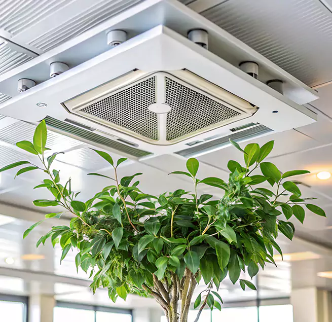 Why Homeowners & Businesses Trust Us in Kaukauna, WI?