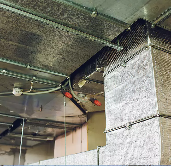 Why Homeowners & Businesses Trust Us Kaukauna, WI?